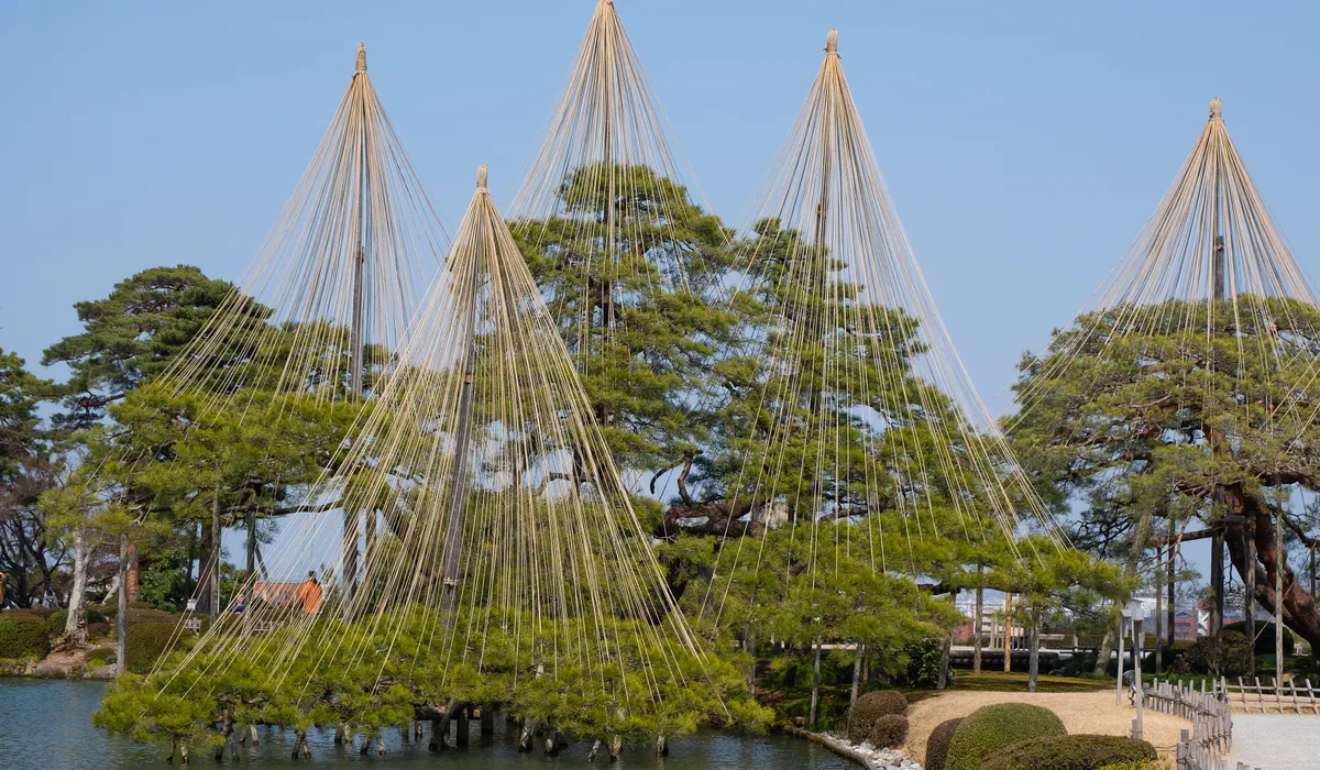Rope-supported pine trees by the pond at Kenrokuen Garden, Kanazawa