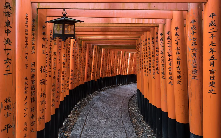 Torii gate path at Fushimi Inari Taisha, Kyoto