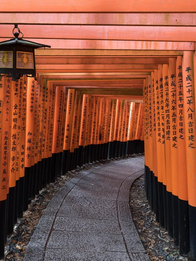 Torii gate path at Fushimi Inari Taisha, Kyoto