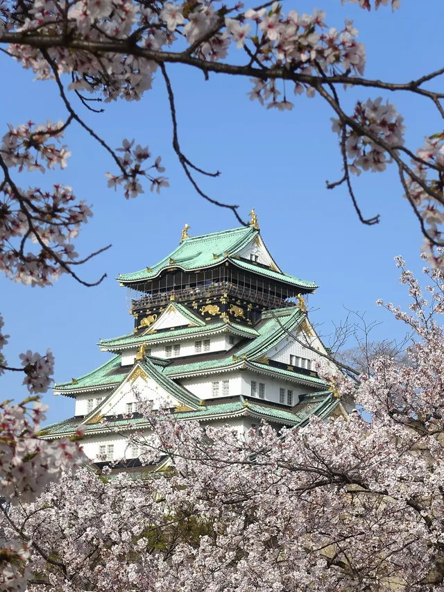 Osaka Castle surrounded by cherry blossoms