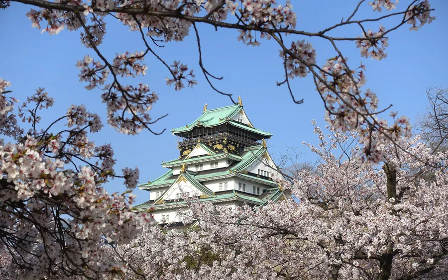 Osaka Castle surrounded by cherry blossoms