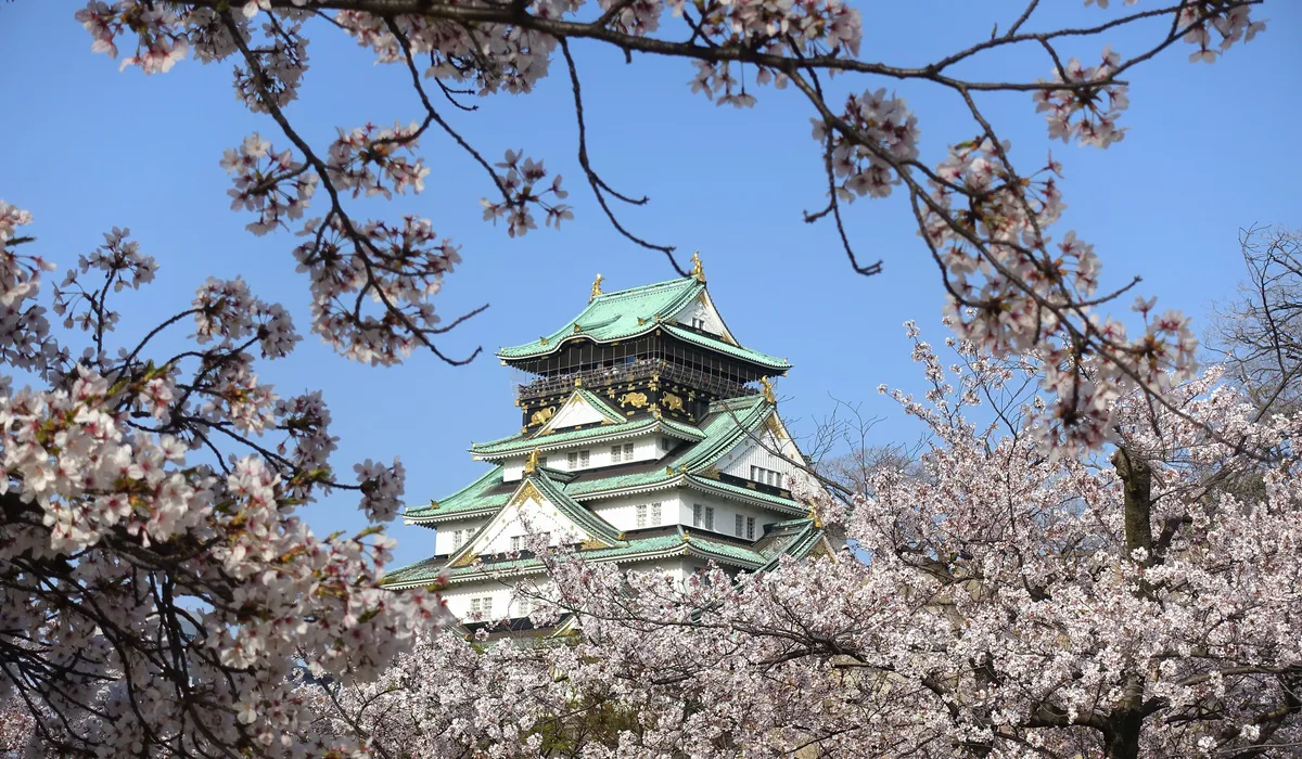 Osaka Castle surrounded by cherry blossoms