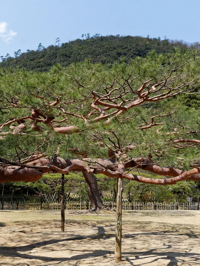 Ritsurin Garden, Takamatsu
