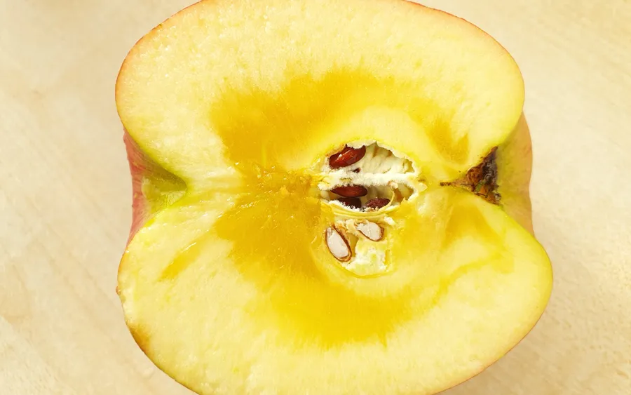 A Sanfuji apple from Aomori