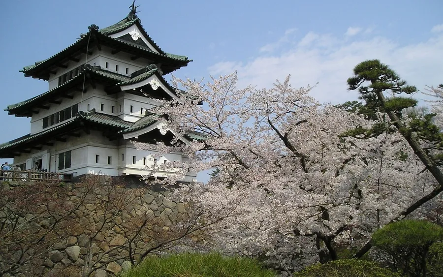 Hirosaki Castle with cherry blossoms