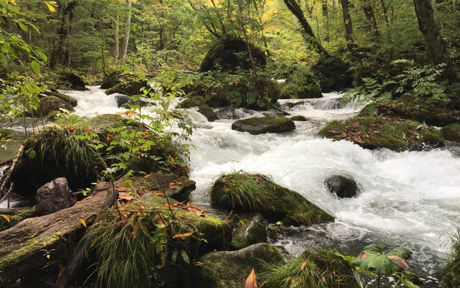 Oirase Stream, Towada-Hachimantai National Park