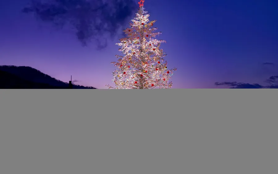 Hakodate Christmas Fantasy tree at sunset