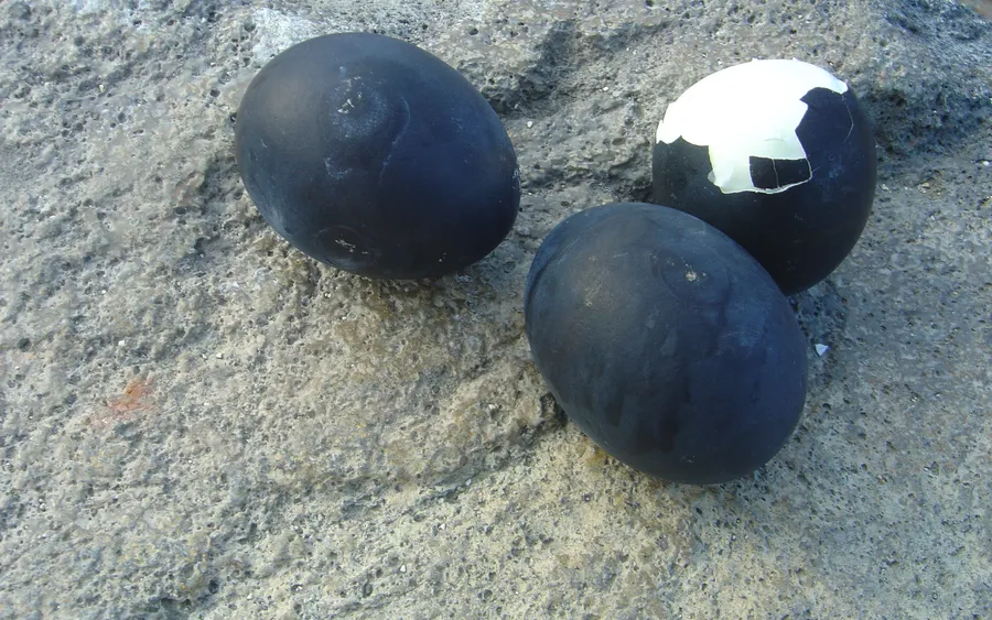 Kuro-tamago (black eggs), Owakudani