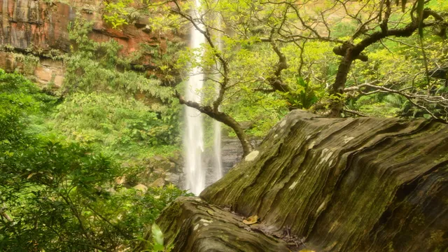 Pinaisara Falls, Iriomote Island