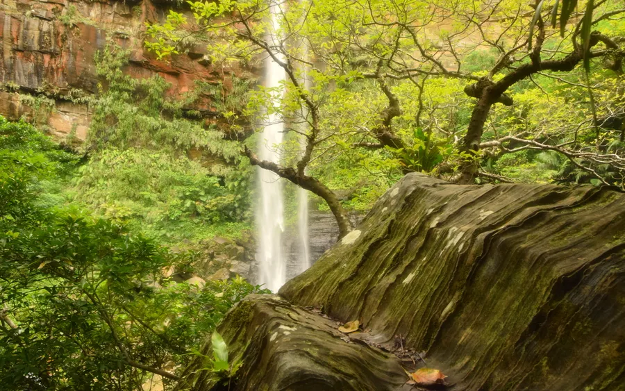 Pinaisara Falls, Iriomote Island