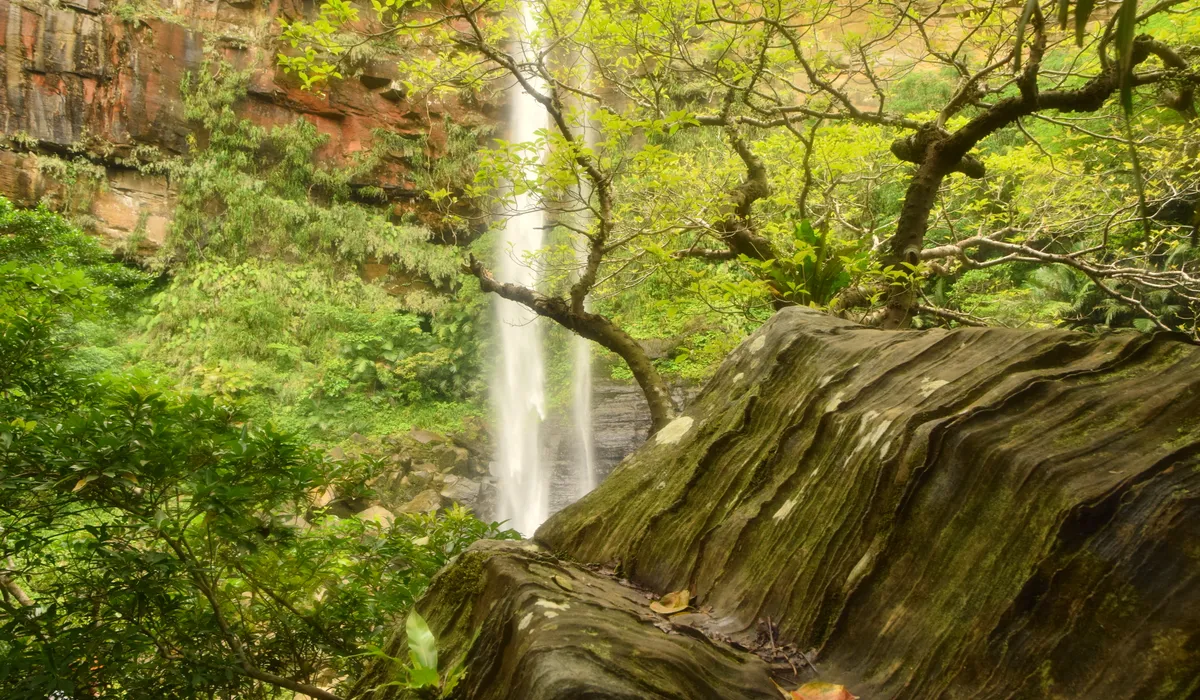 Pinaisara Falls, Iriomote Island