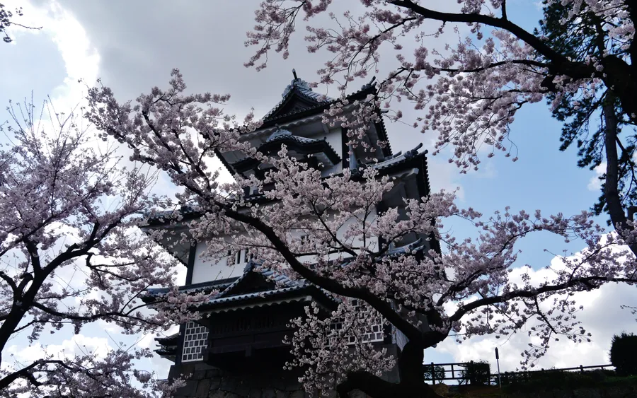 Hishi Yagura, Kanazawa Castle, cherry blossom season