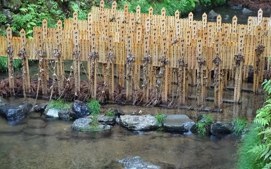 Choishi Path through Okunoin Cemetery, Koyasan
