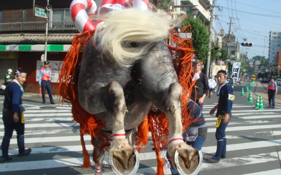 Fujisaki Hachimangu Grand Festival, Kumamoto