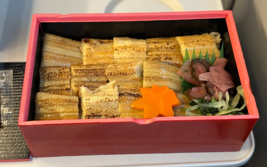 Anago meshi (conger eel rice)