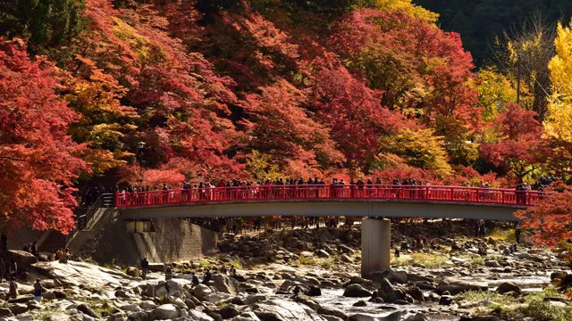Taigetsukyo Bridge, Korankei Gorge, autumn foliage
