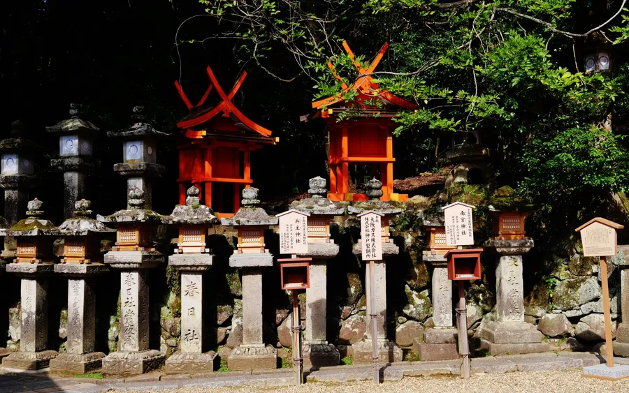 Stone lanterns, Kasuga Taisha, Nara