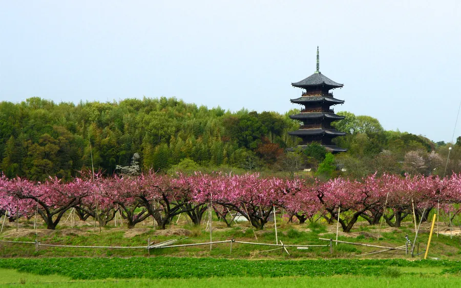 Five-story pagoda, Bitchu Kokubunji, Kibi Plain