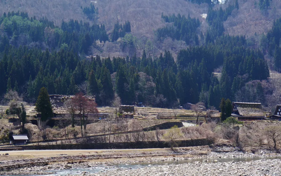 Ogimachi village and rice paddies, Shirakawa-go