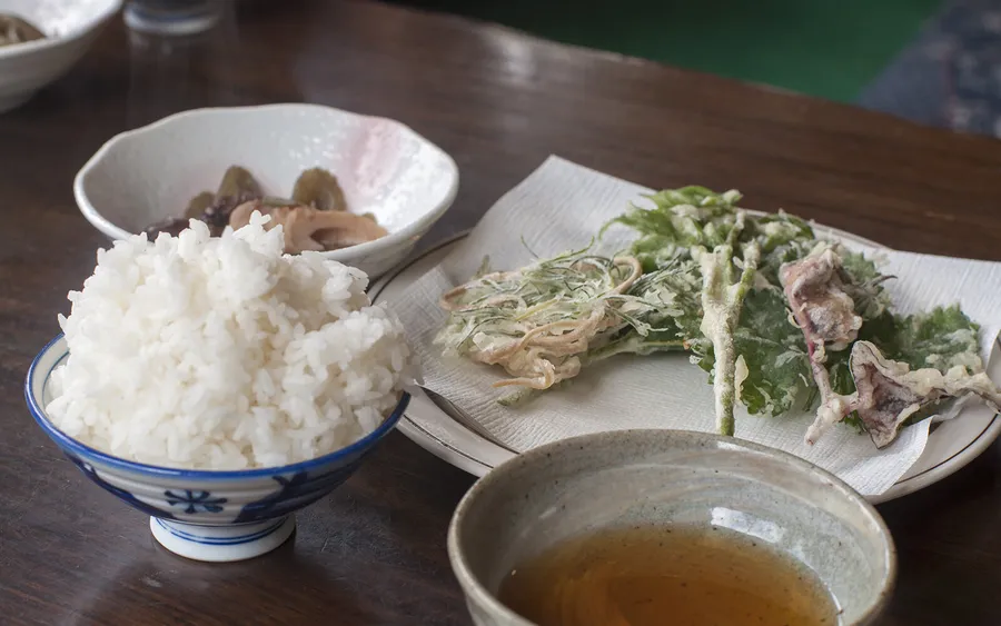 Sansai tempura set meal
