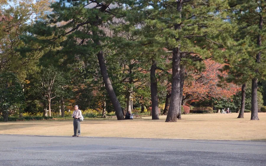 Imperial Palace East Gardens, Tokyo