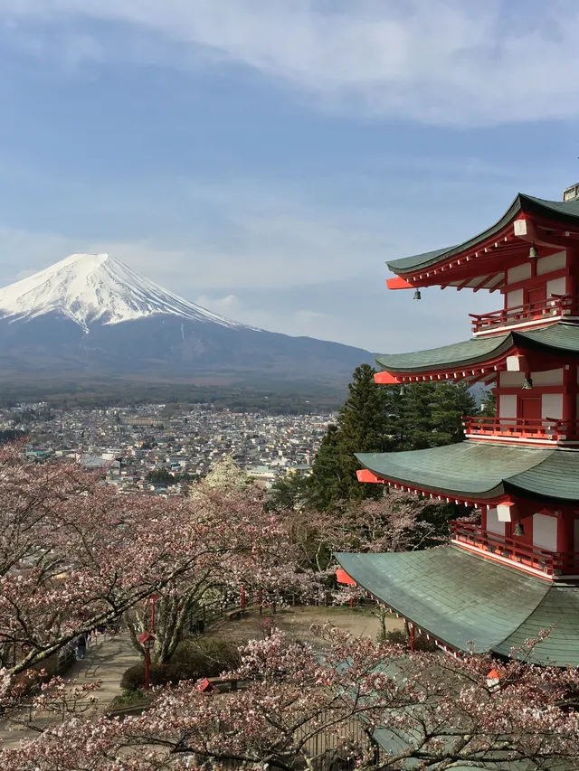 Chureito Pagoda framed by Mount Fuji and cherry blossoms
